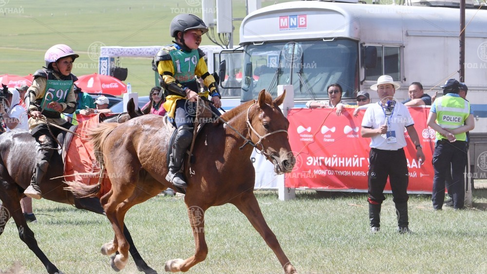 Сүмбэн зээрд