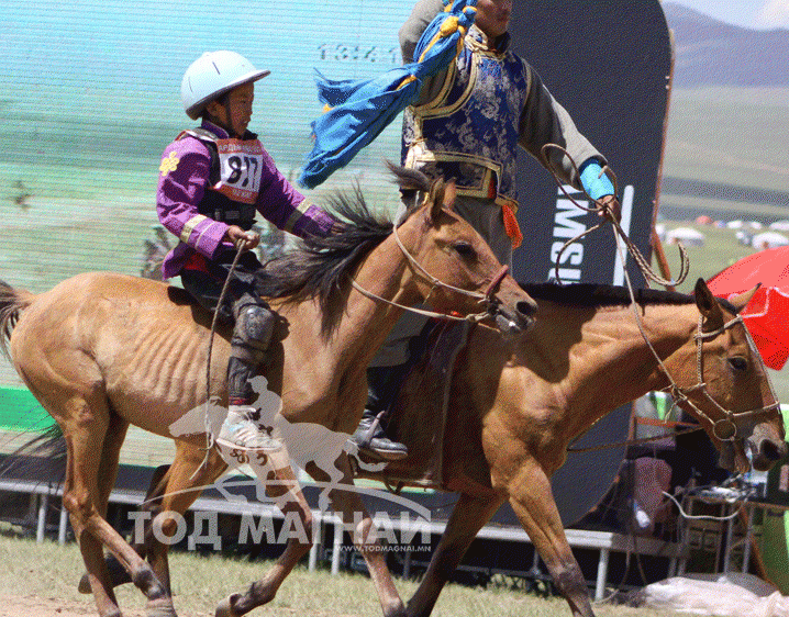 Батдоржийн хул