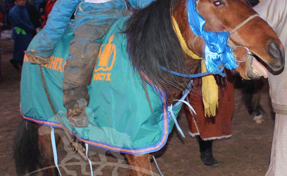 Наранхүүгийн Монгол хээр