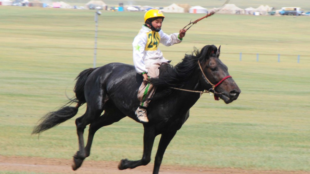 Салхин халтар