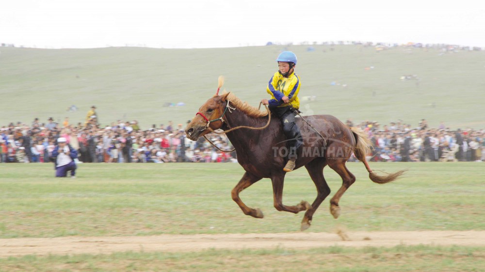 Цоглог зээрд