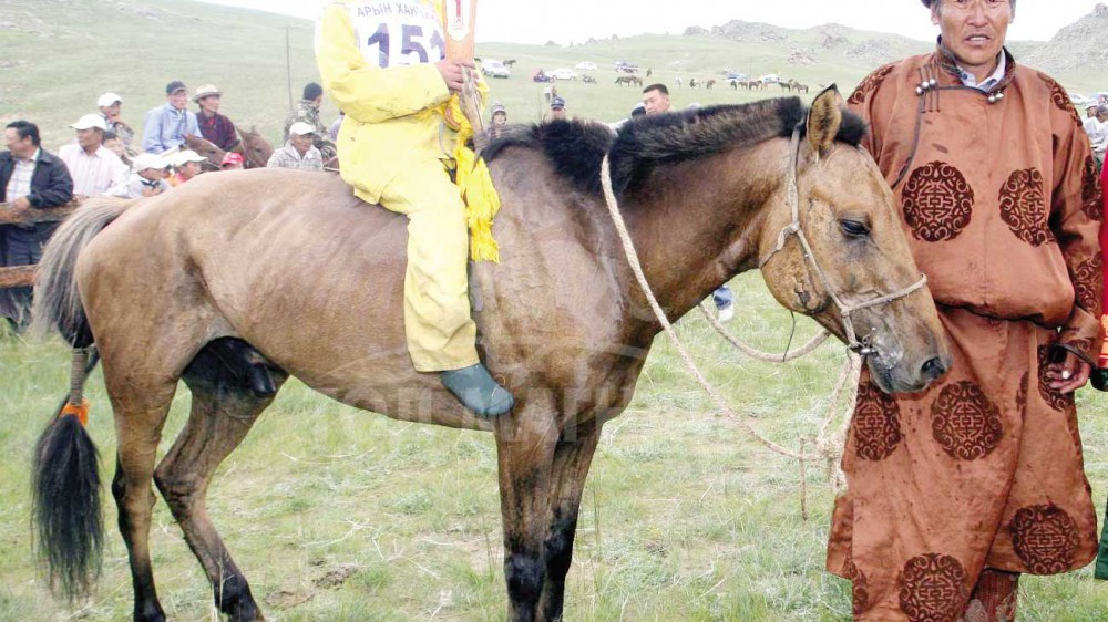 Пүрэвийн хонгор