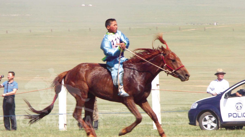 Цэрэнжигмэдийн зээрд