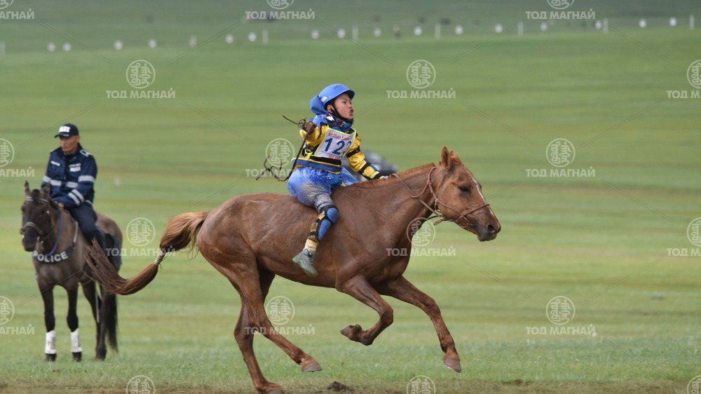 Хуур халзан