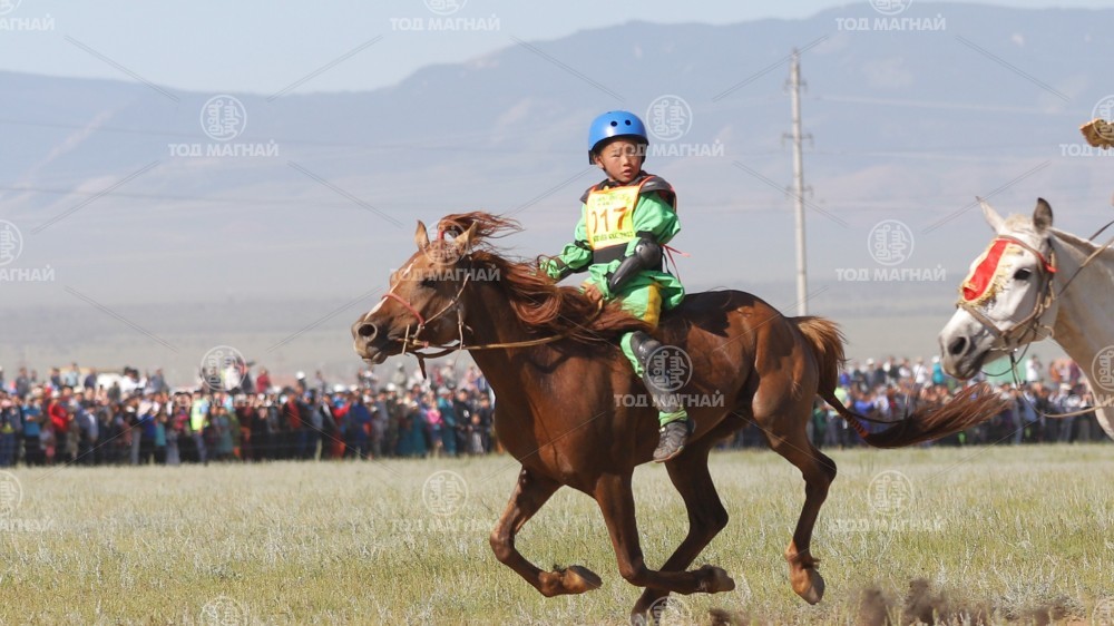 Нандин хонгор
