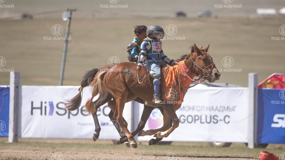 Хүрэн халзан