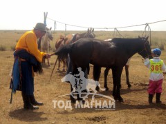 Аймгийн Алдарт уяач Б.Ганзориг: Эр хүнд уяаны багш хэмээн дээдэлдэг морь байдаг юм