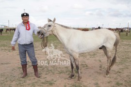 АХ-ын 91 жилийн ой Говьсүмбэр аймгийн баяр наадам