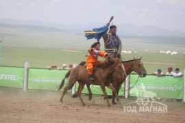 Ц.Ганхүүгийн хонгор халзан