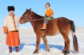 Аймгийн Алдарт уяач Ц.Өлзийсайхан: Хурдны өлгий нутагт ганцхан үрээтэй очоод, айраг хүртсэндээ үнэхээр их баярласан