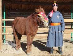Аймгийн Алдарт уяач Л.Бирозана: Хар зүсмийн адууг шүтэж явдаг