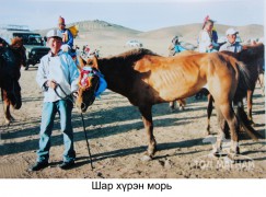 Аймгийн Алдарт уяач Ж.Мааманхүү: Зургаан насны морь айрагдаж түрүүлгэн, жийпээр шагнуулж байлаа