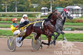 Уралдааны зам дээрх шатрын нүүдэл