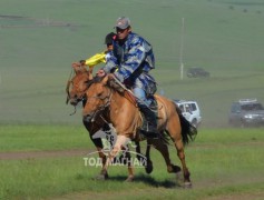1.Орхон аймгийн Баян-Өндөр сумын харьяат Д.Баясгалангийн хүрэн