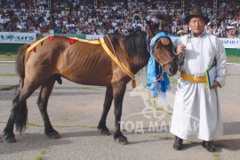 Б.Цэндбаатар: Төрийн наадмын түрүү хүлгийн уяаг тааруулах болсондоо эмээж байлаа