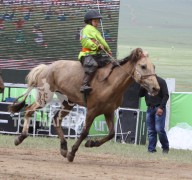 АХ-ын 92 жилийн ойн баяр наадамд айргийн тавд хурдалж буй нь 