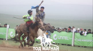 АХ-ын 91 жилийн ойн баяр наадамд айргийн дөрөвт хурдалж буй нь 