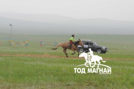 Төрийн наадам, төвийн бүсийн дөрвөн айрагт Сугарын шандаст хул