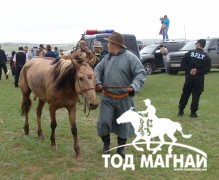 Төрийн наадам, төвийн бүсийн дөрвөн айрагт Сугарын шандаст хул