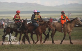 Хэнтий аймгийн 90 жилийн ой, зүүн бүсийн даншгийн хурдан шүдлэнгүүд