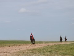 Говийн бүсийн уралдаанд эхний 10-т хурдалсан хурдан дааганууд