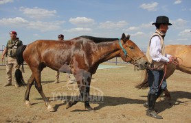 Түмэн эх хээр халзан