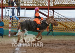 Долоо - Ц.Нүүдэлийн хонгор