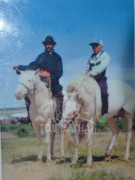 ДҮМБЭН ШАРГУУДЫН ТӨВӨРГӨӨН-АЛДАРТ УЯАЧИЙН АМЖИЛТ