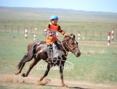 Анчин Намсрайн хурдан халзан