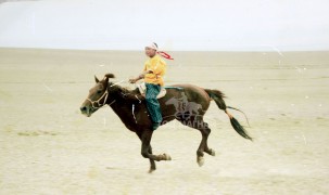 Сумын 3 түрүү, 9 айрагтай хүрэн азарга