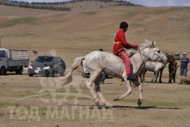 Шижирийн овооны тахилга уралдаан даага