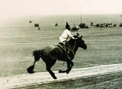 Галын хээр азарга