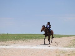 Говийн бүсийн уралдааны эрлийз дунд ангилалд эхний 10-т хурдалсан хурдан хүлгүүд