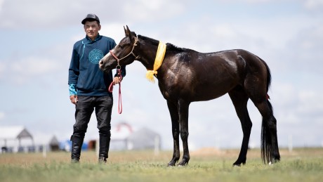 Элдэв-Очирын Ариунболд хэмээх идэрхэн уяачийн тухайд...