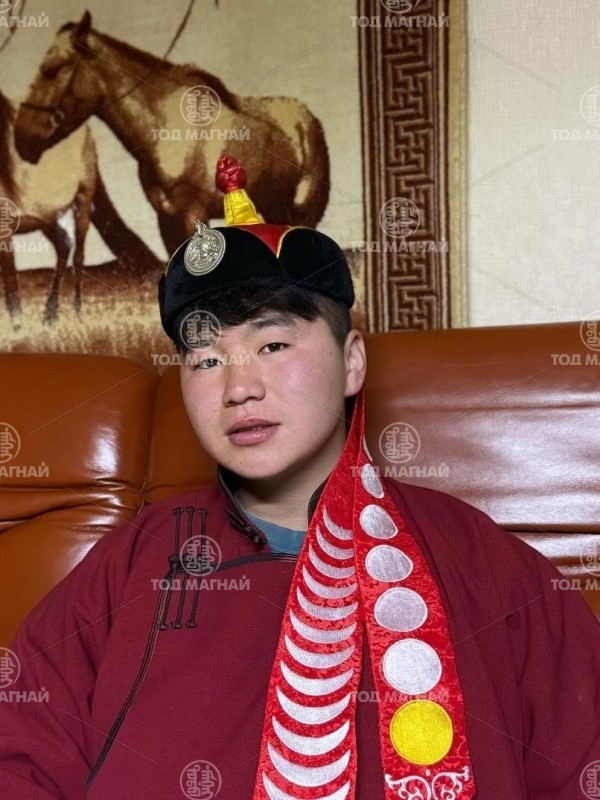 Нийслэлийн алдарт Пунцагбалжир